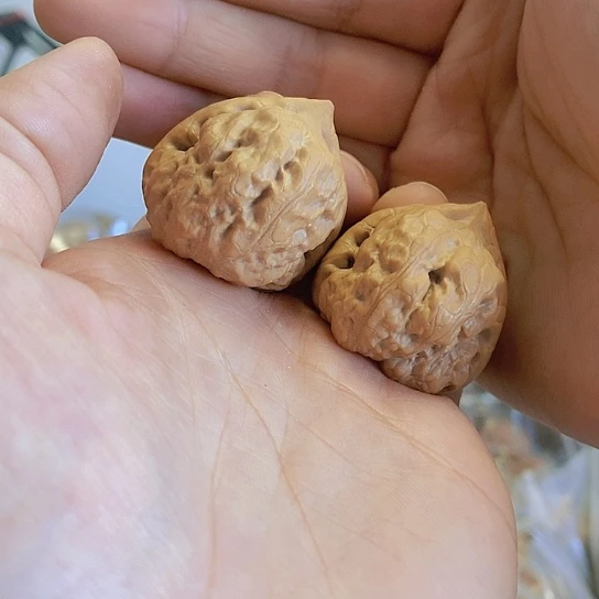 【闪购商品】把件文玩核桃34.5三角古蝉