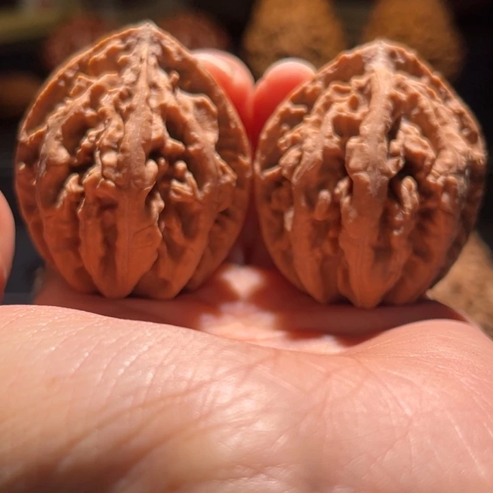 吃***吃吊坠文玩核桃八爪金龙58