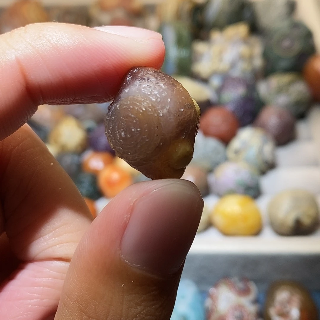 石头精品眼睛单科