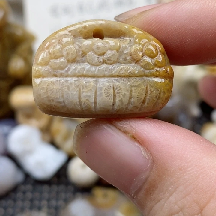 颈饰未镶嵌硅化珊瑚（珊瑚玉）小