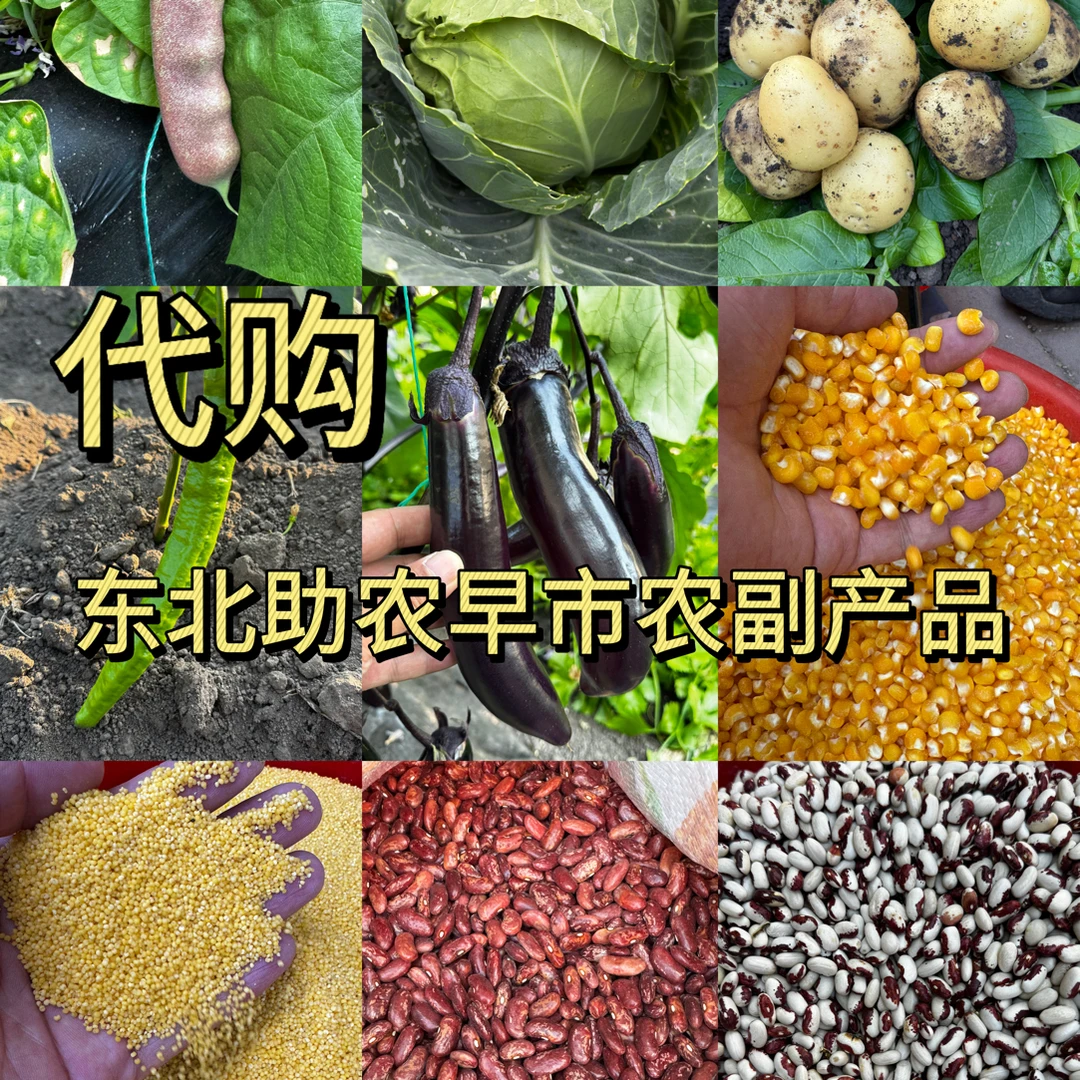 蔬菜杂粮农副产品代购