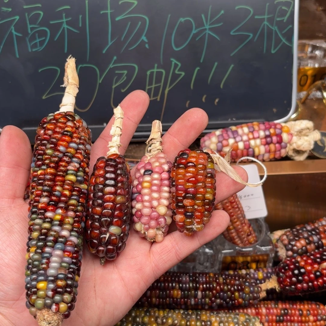 柏香籽/百香籽吊坠o****e