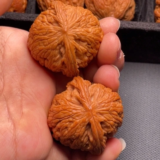 文玩核桃把件秦岭山脉核桃