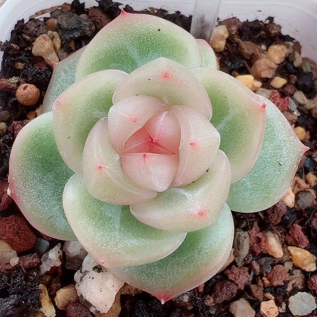 856哈哈哈哈哈哈哈哈