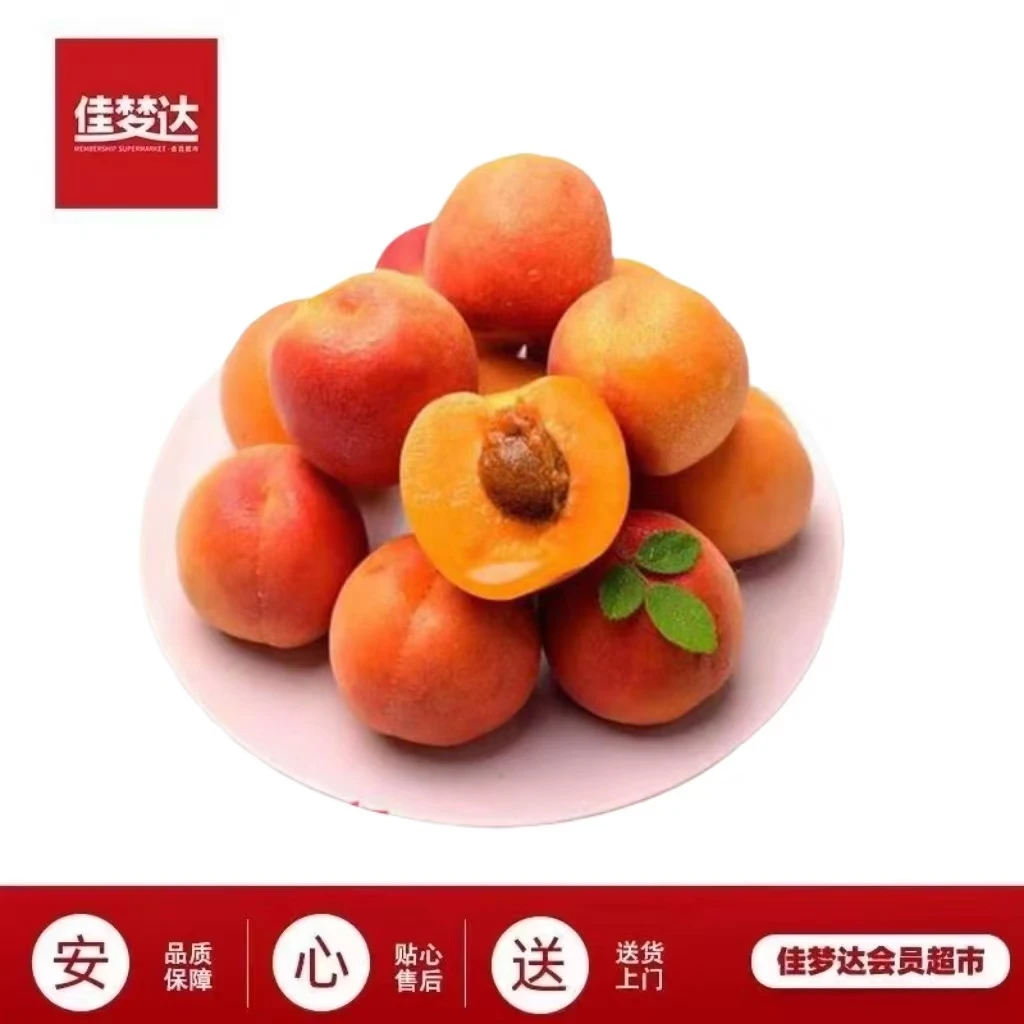 新疆吊干杏约1.5KG