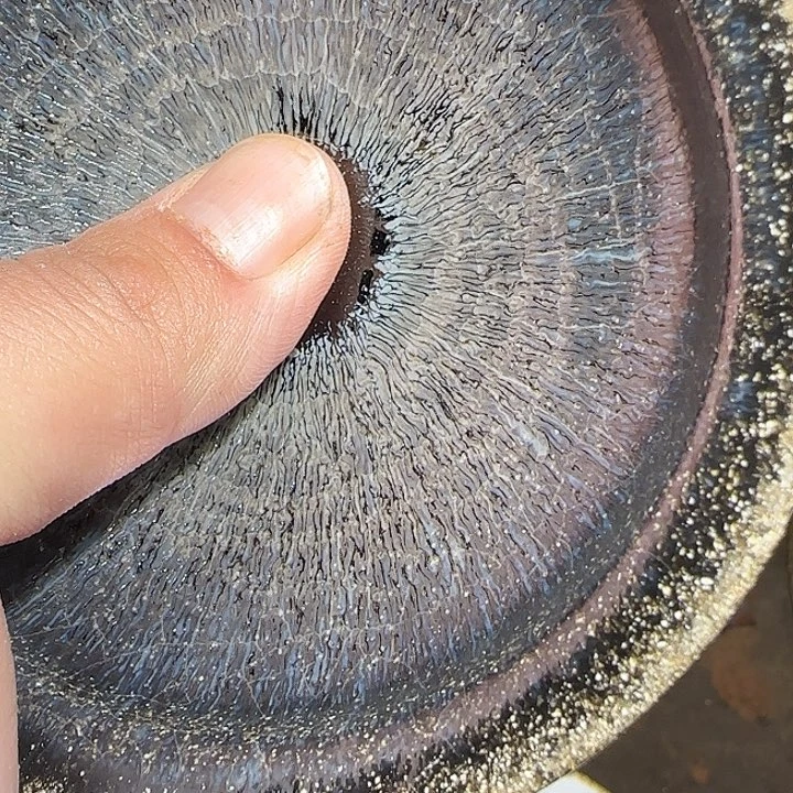 茶盏福利特价活动开始14