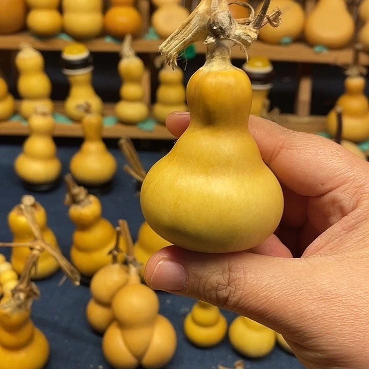 聂***～风裂111111111111111111