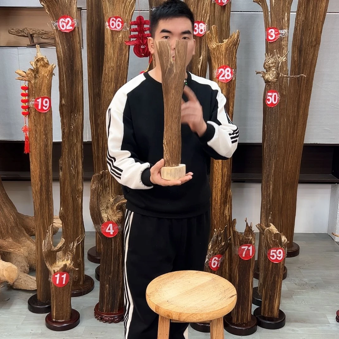 沉香摆件海南沉香摆件