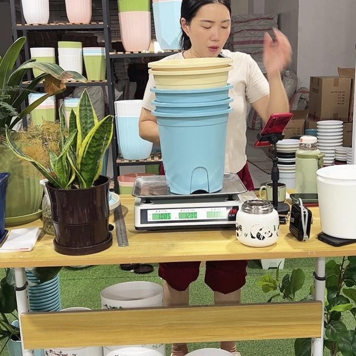 圆形控根口24高24混色无托5只