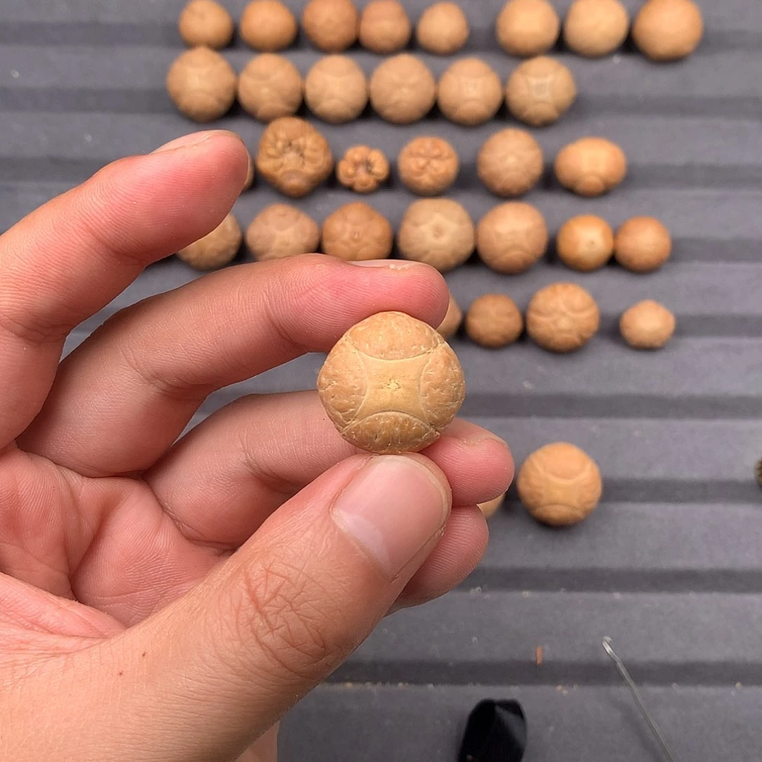 手串凤眼菩提d****x22+麒麟，非质量问题开孔不退