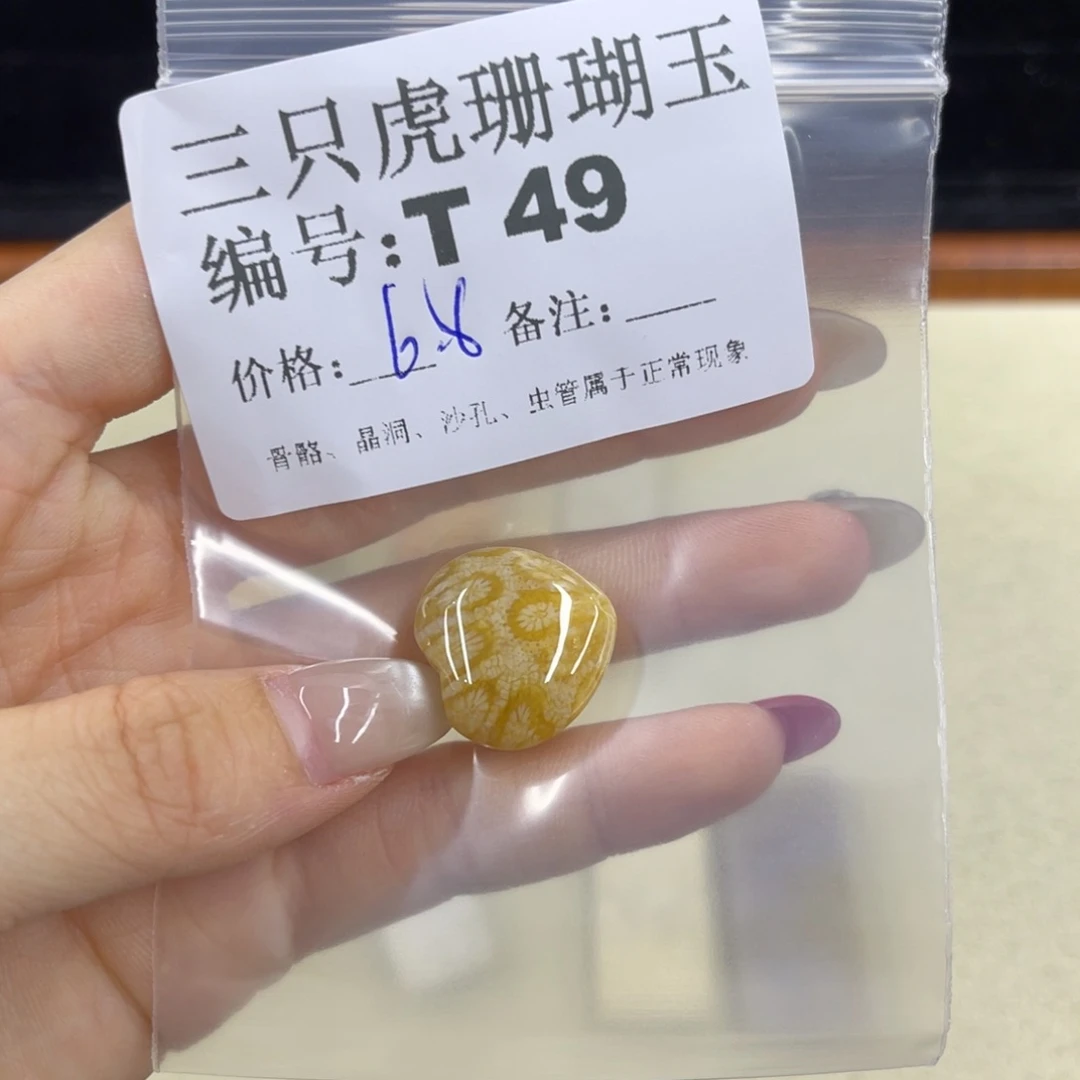 金***花硅化珊瑚（珊瑚玉）h未镶嵌