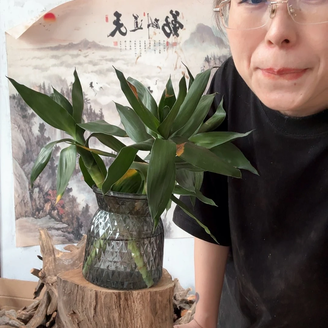 木晓*藏太行崖柏摆件