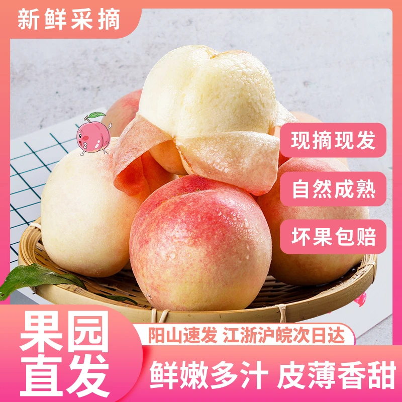 8两以上果王阳山水蜜桃到手1箱/6颗多汁爆甜礼盒包装