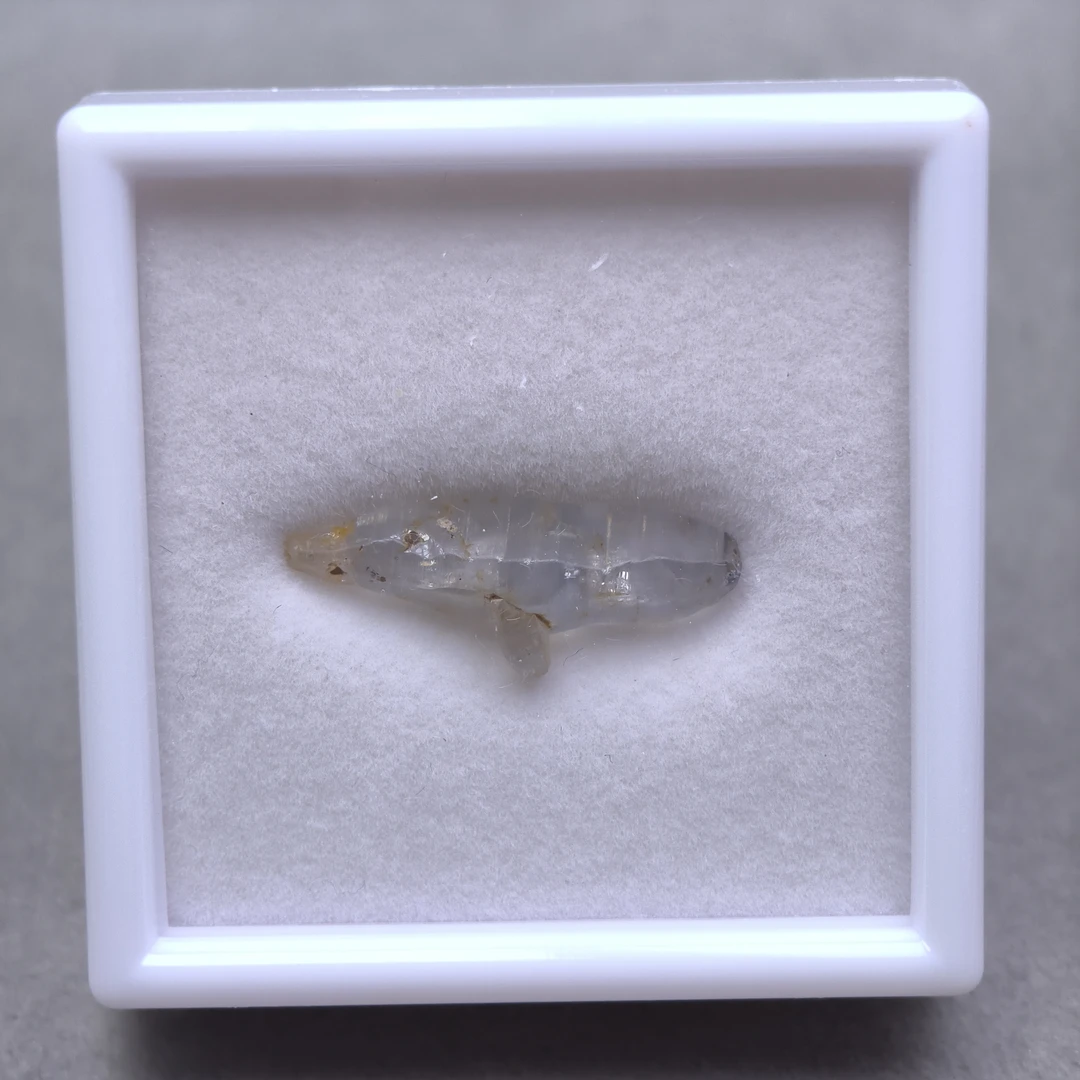 蓝宝石原石-11.3ct（01076515）0708