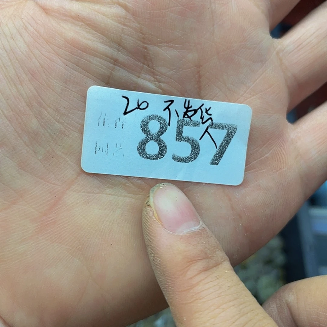 85700000花花花花花