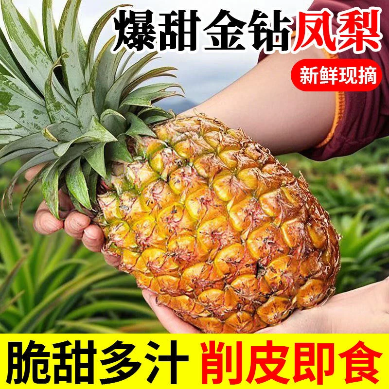 云南西双版纳凤梨脆甜多汁