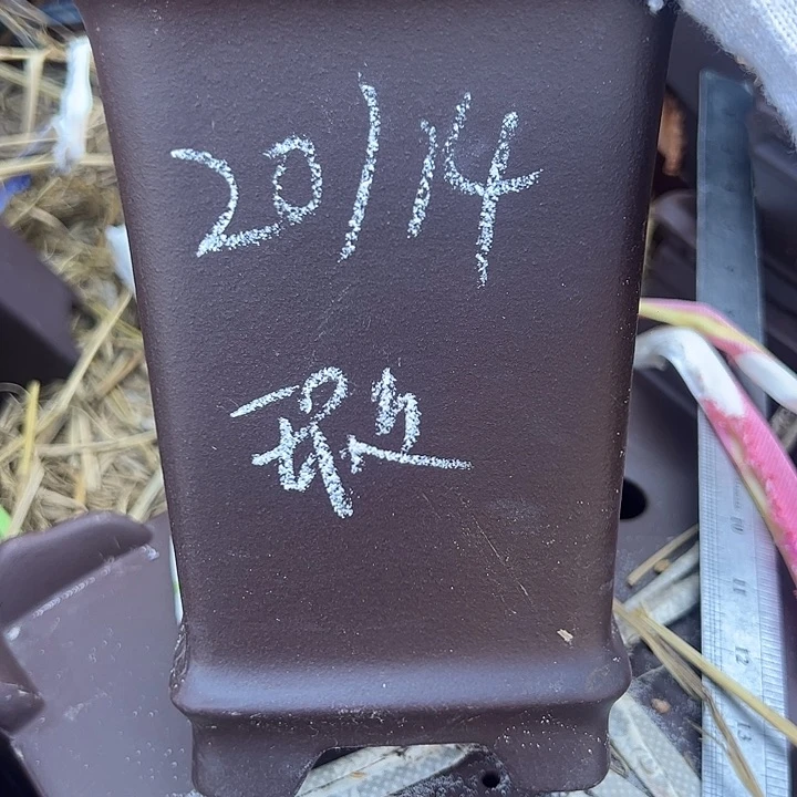 紫砂懒腰瑕疵瑕疵瑕疵