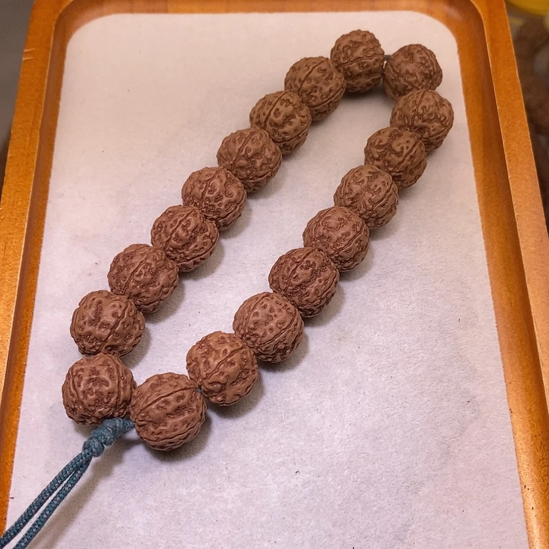 手串金刚菩提老树梅花17+