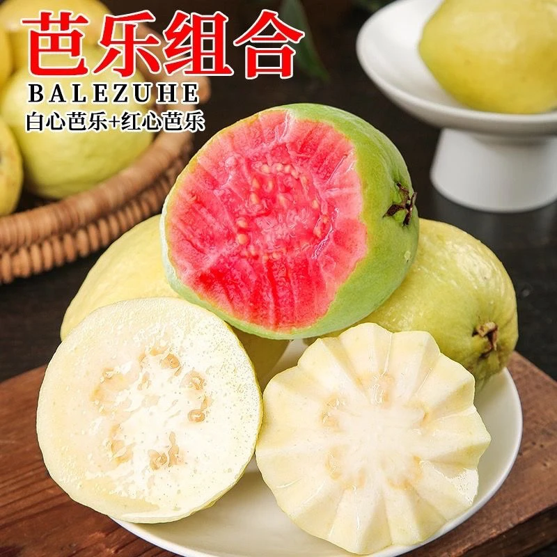 广西白心奶油芭乐正宗番石榴软心芭乐香甜当季南方水果