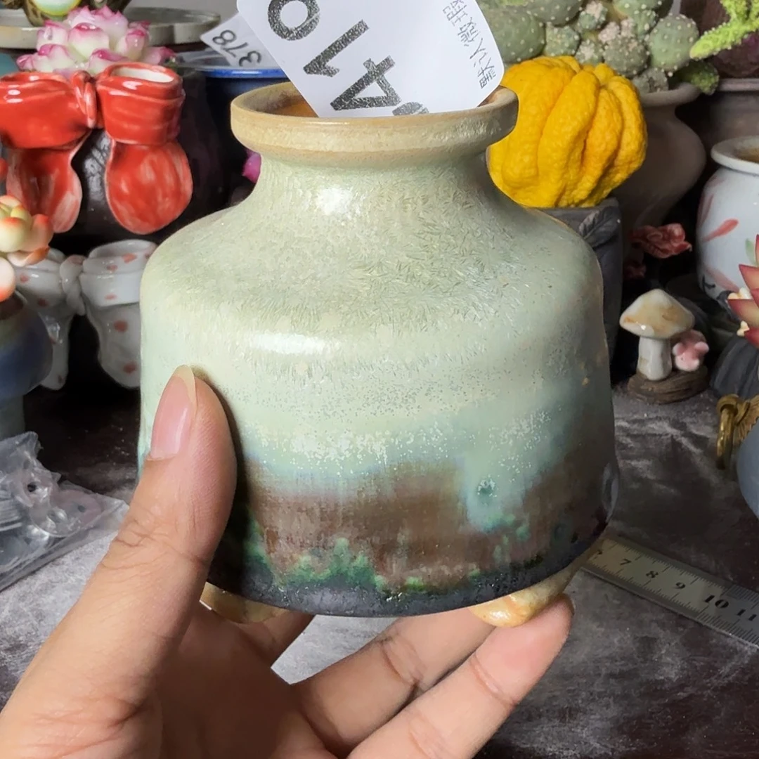 重庆小燕子欢迎大家419