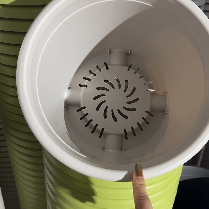 四季5号灰白无托10个特价微瑕