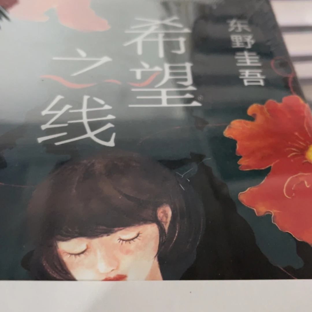 希望之线精装一个