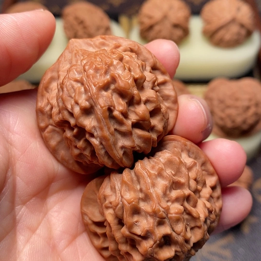 桃核把件嘉**全品骨赛龙尺寸39.5