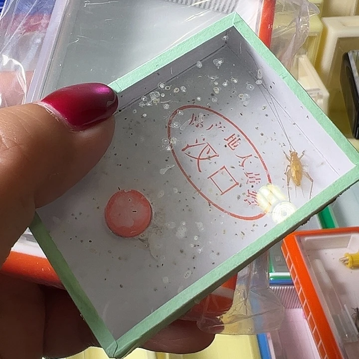 管***爷蟋蟀哈哈哈哈哈哈哈哈哈哈哈