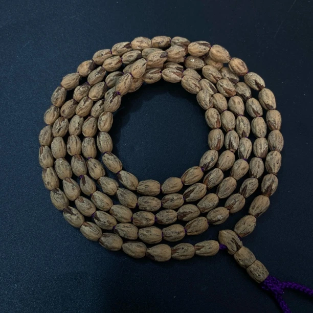 热振一哥《6603》定制级百香籽