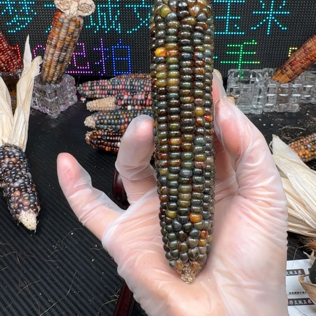 柏香籽/百香籽吊坠Y***I