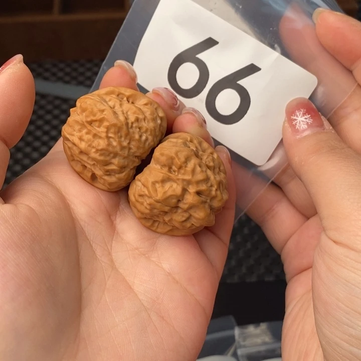 核桃66号蛤蟆手捻35尺