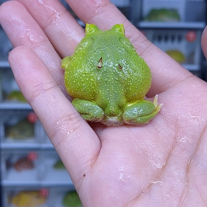 特价秒杀现货特价