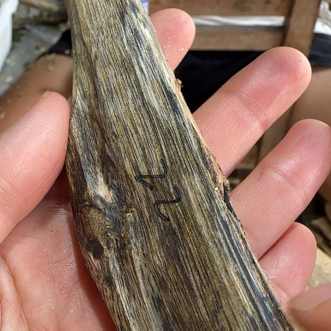 沉香碎屑沉香22号奇楠沉香原木一个