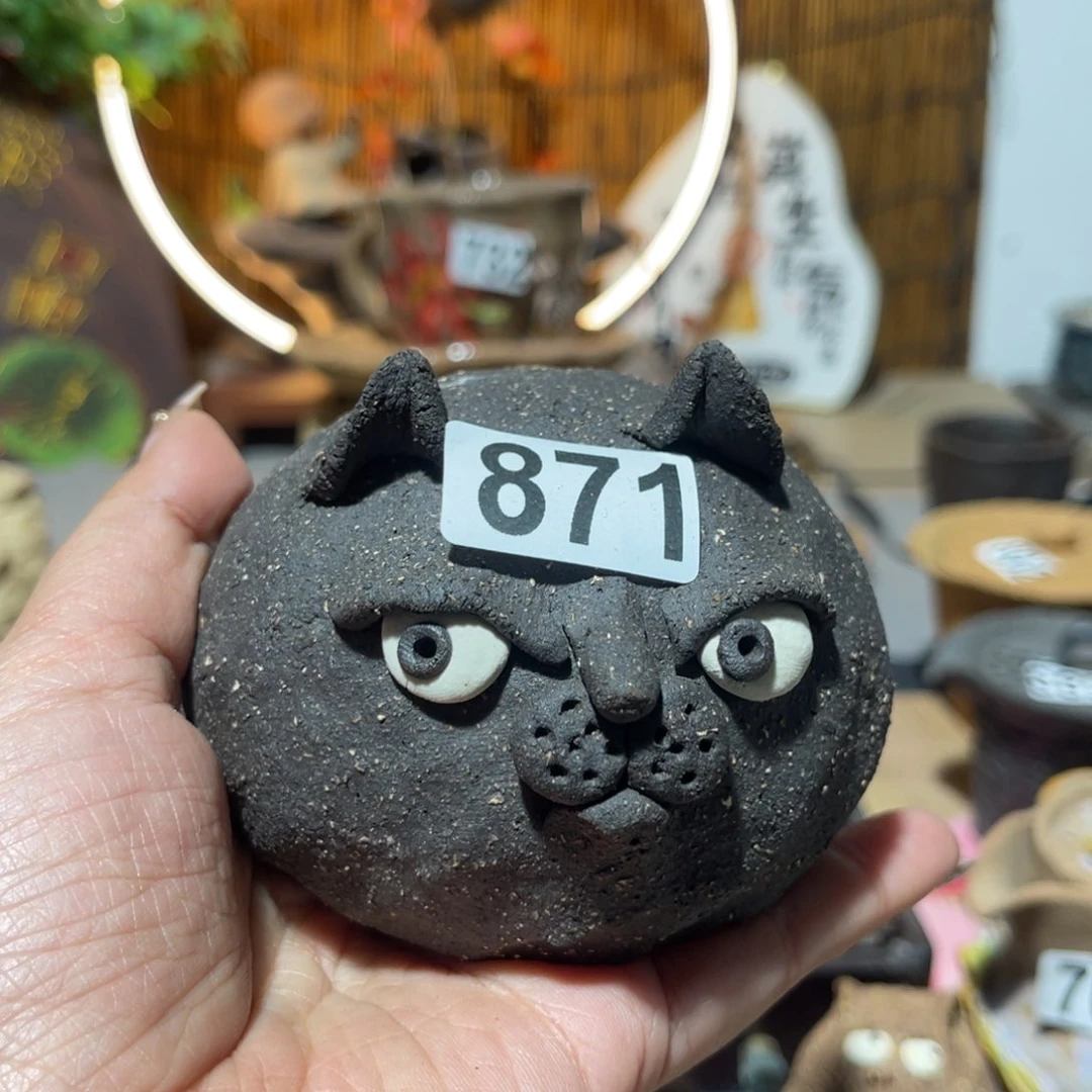 木村信弘柴烧保平