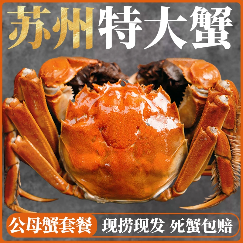【活蟹】精挑大闸蟹公蟹6.0-5.7两母5.0-4.7两共6/10只装鲜活冷链XJ