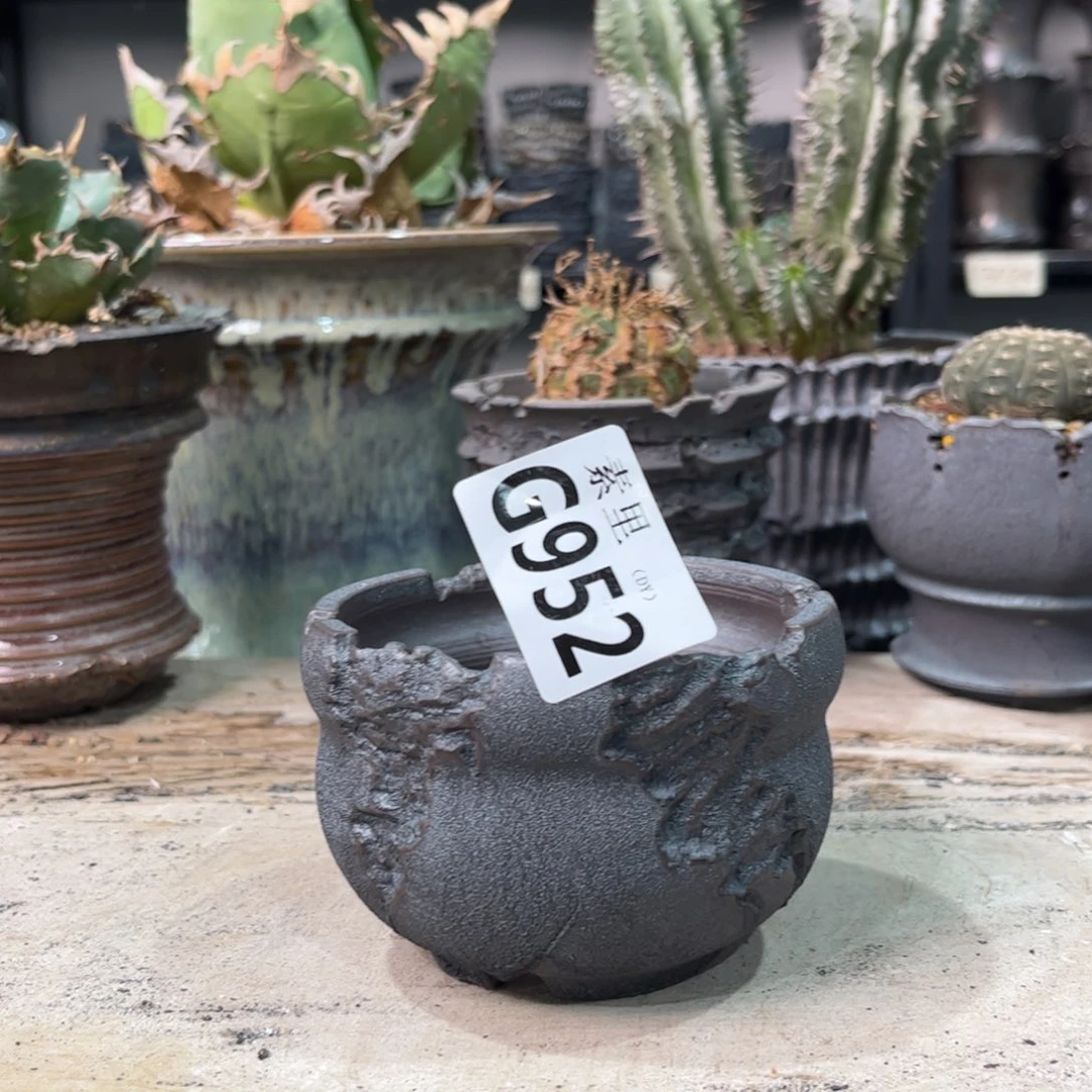 陶内口8.5高6.5景德镇