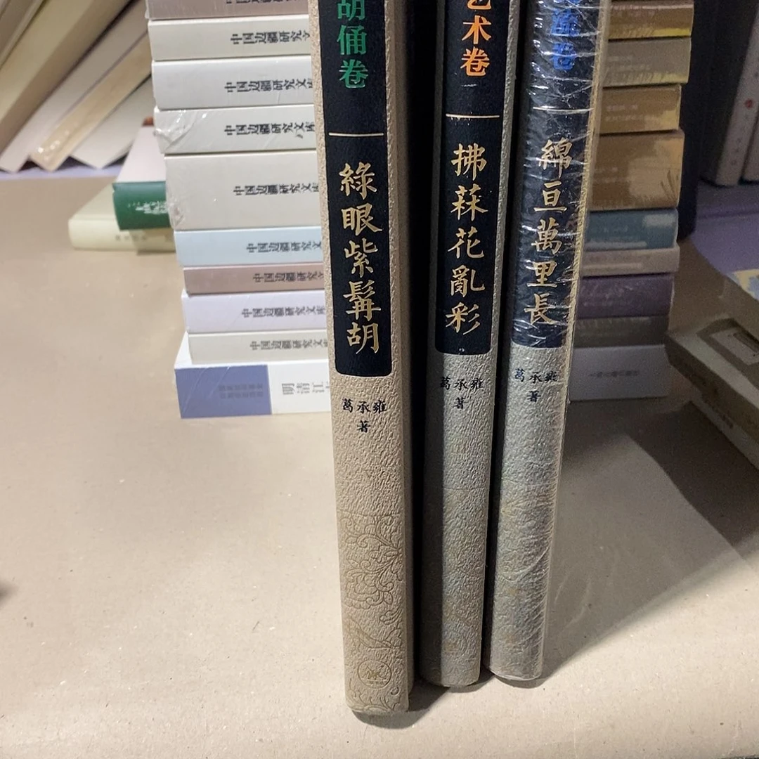 叶***秋瑕疵     胡胡三本