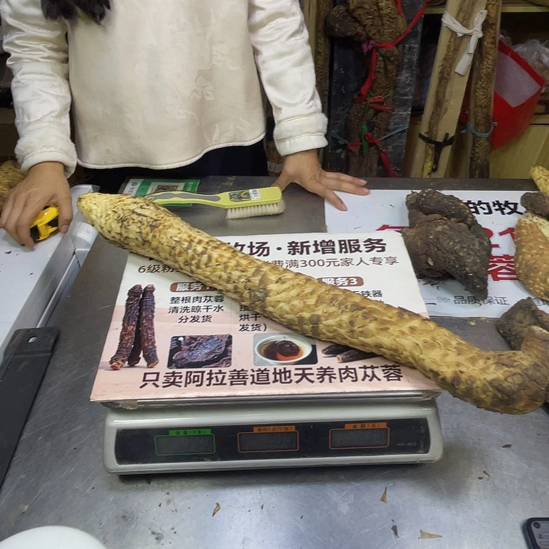 中国大陆1195克56厘米