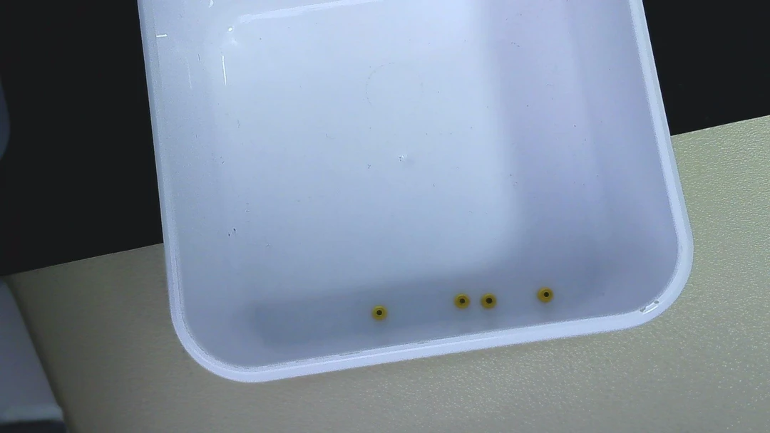 黄金足金小金 豆