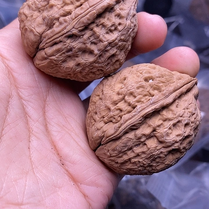 把件文玩核桃   136