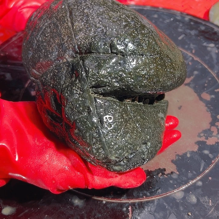 *****蛇纹石玉未镶嵌藏玉药王石精美摆件