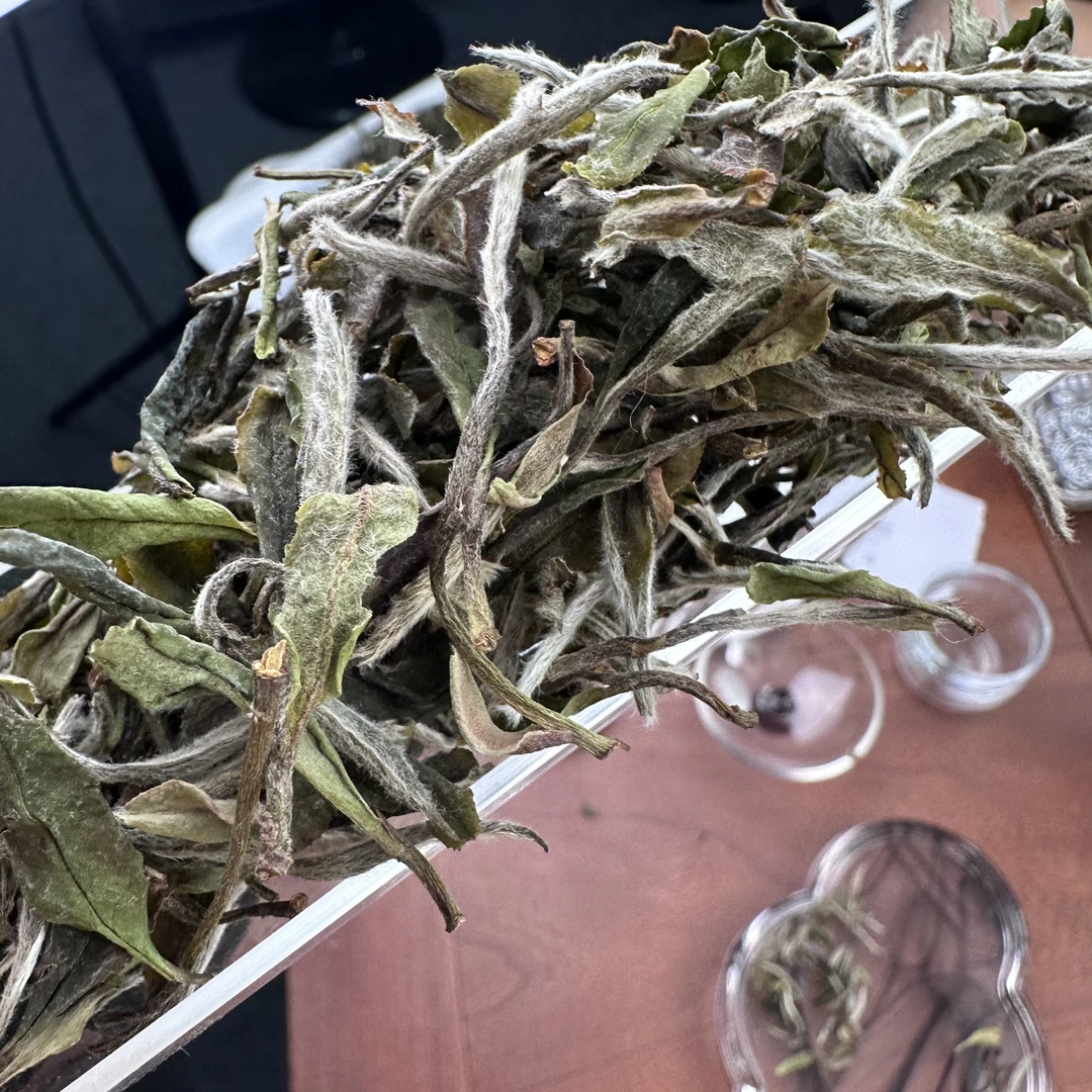 【制茶大师蔡佳亮】2023年百年枞牡丹【2】