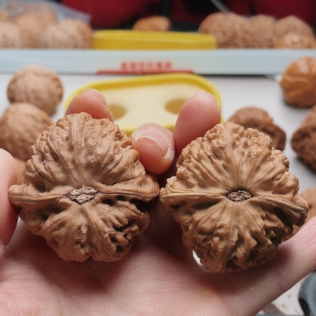 安*安46粗筋活酵母的原理
