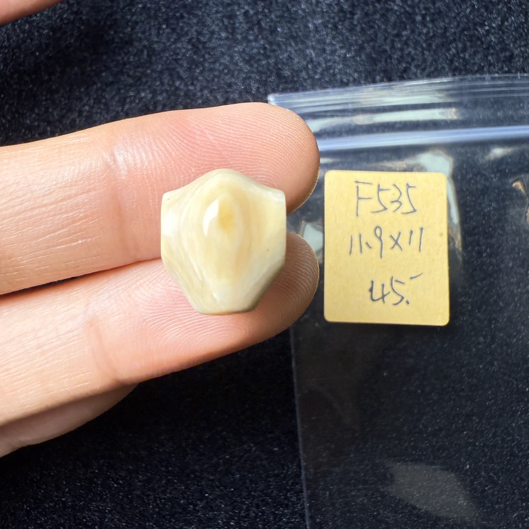 F535猛犸象牙鲨鱼背三通尺寸11.9*11mm果冻料