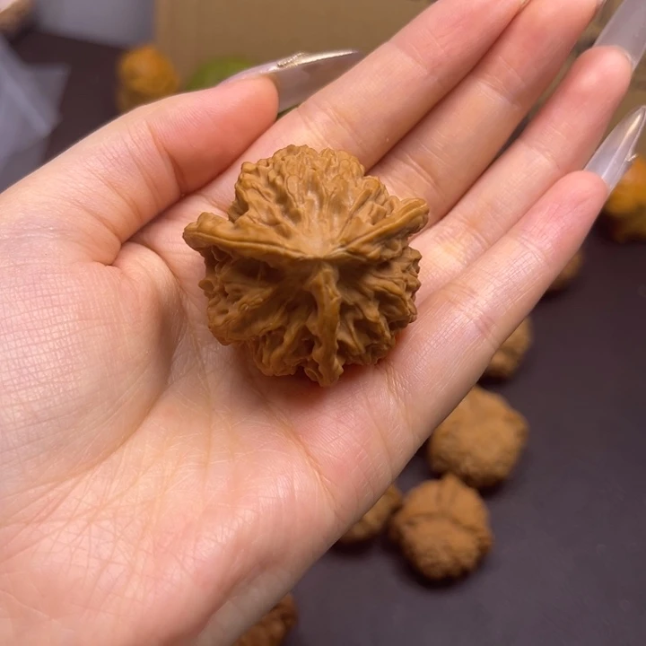 吳****菩提籽类两棱半单只