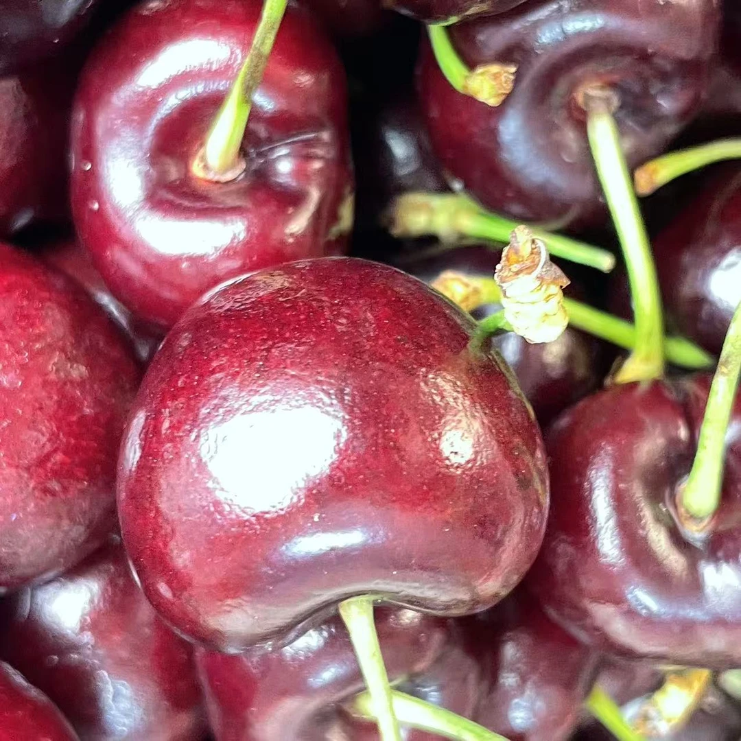 智利进口车厘子桑缇娜2JDD-5JD海运原箱原标五斤黑车脆甜新鲜到家桑提娜智利