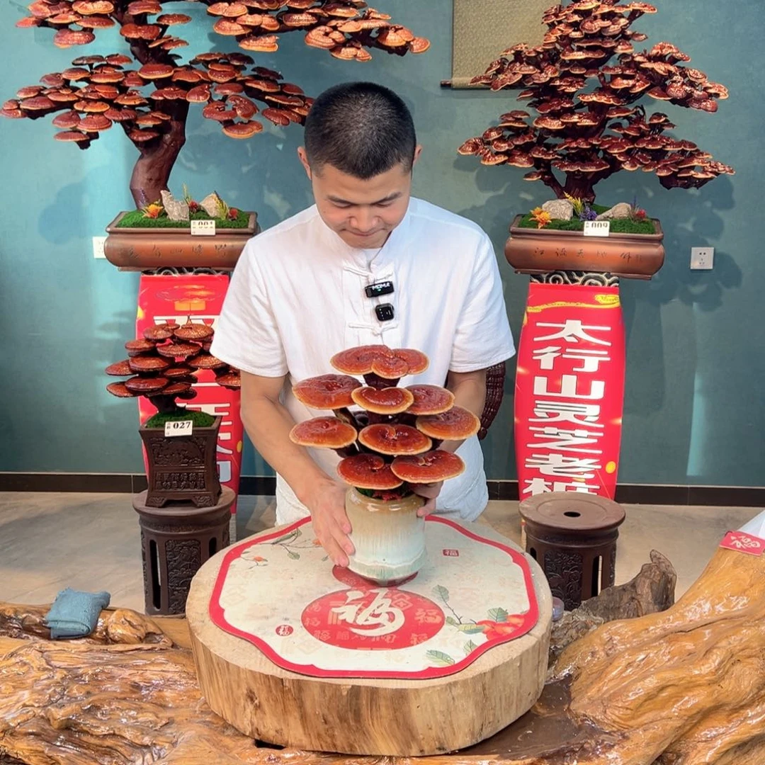 无花朵888888888888