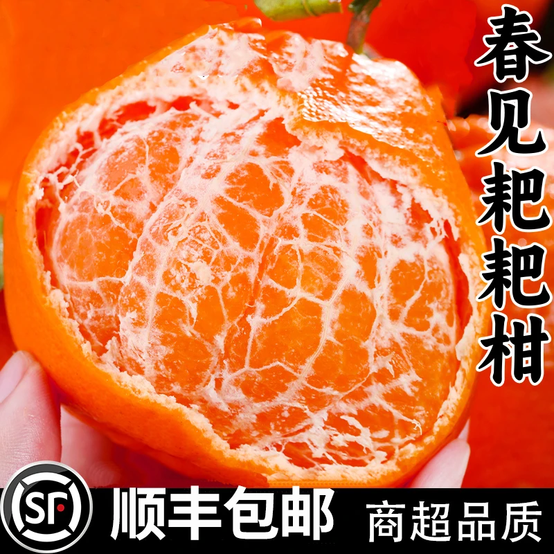 【非凡臻选】四川耙耙柑(超大果)5斤(带箱)单果直径95+mm耙耙柑四川省四川省成都市