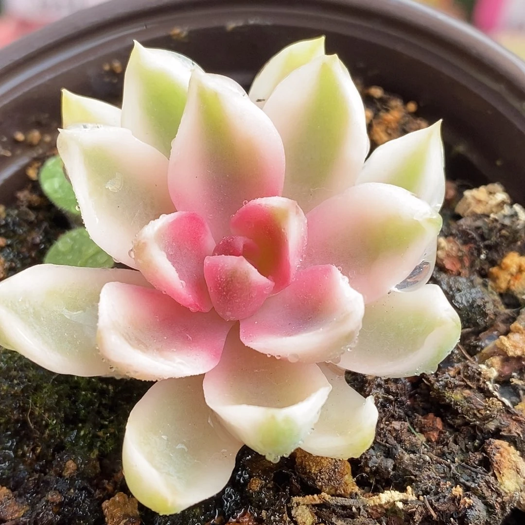 313哈哈哈哈哈哈哈哈哈