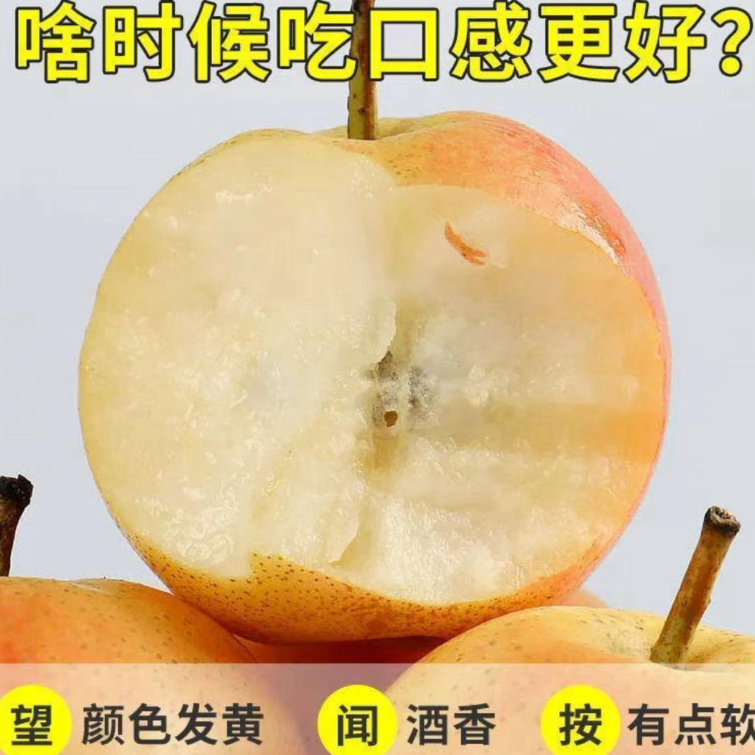 鞍山精品带红脸南果梨 皮薄肉细汁水多